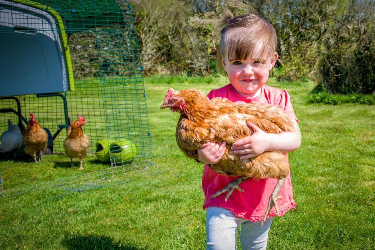 Cargurra Park Farm Vila Boscastle Exterior foto